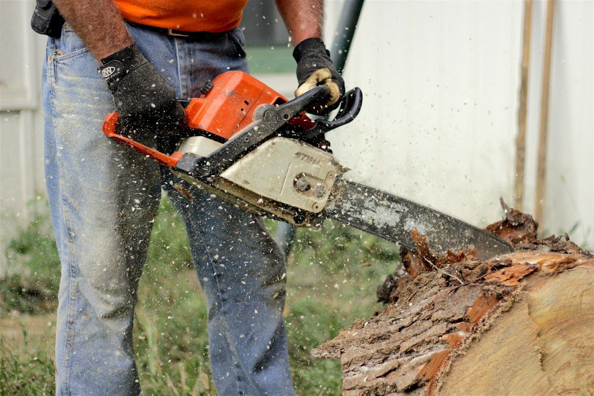Person cutting a log with a cordless chainsaw